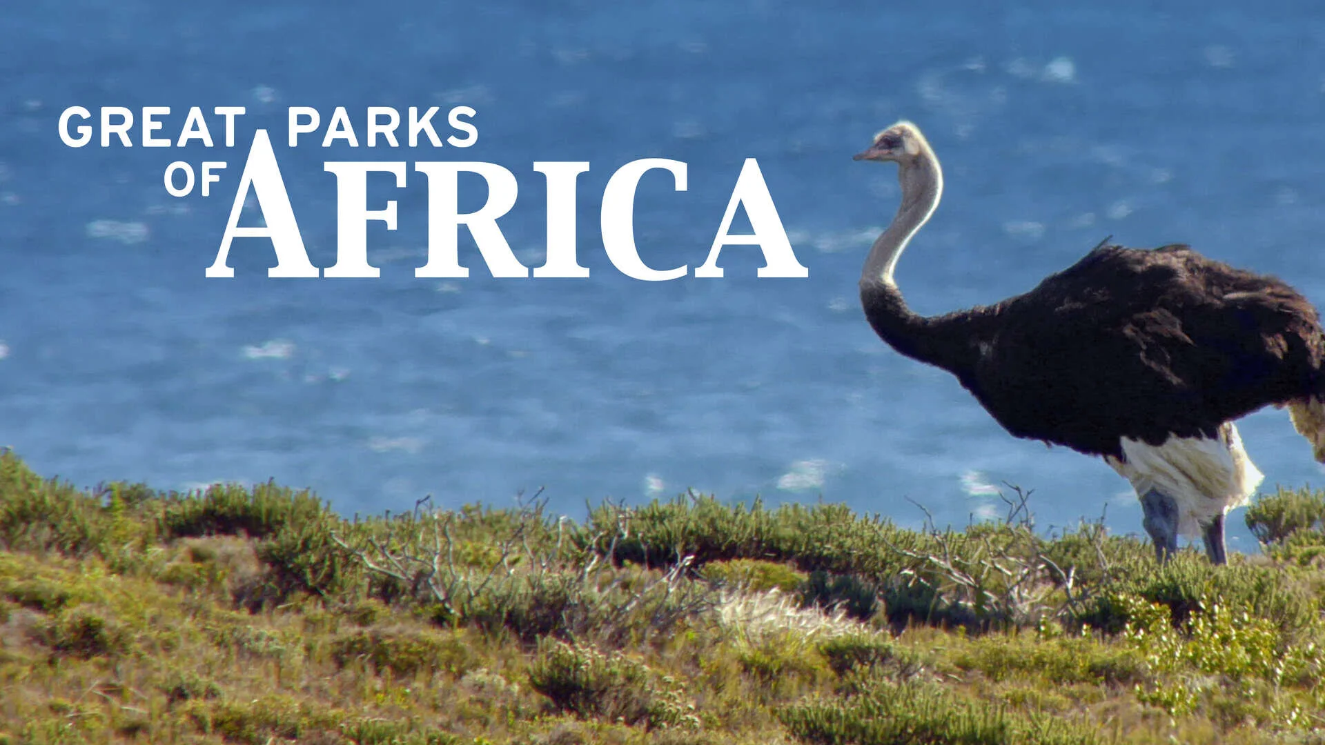 Grandes parques naturales de Ăfrica