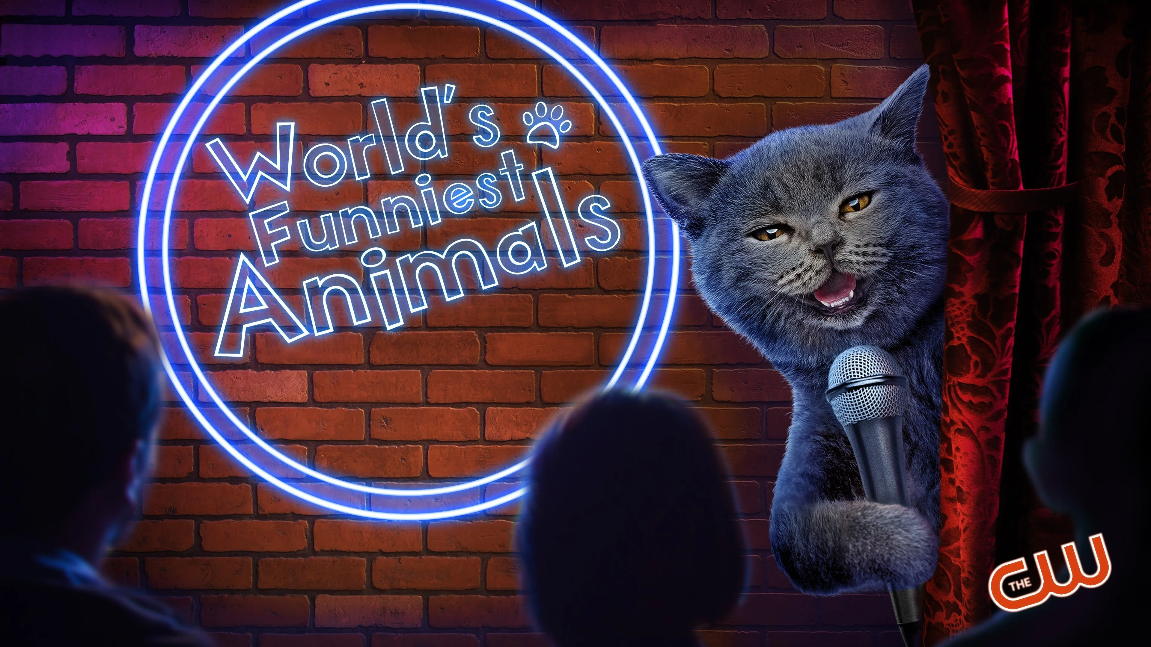 World's Funniest Animals