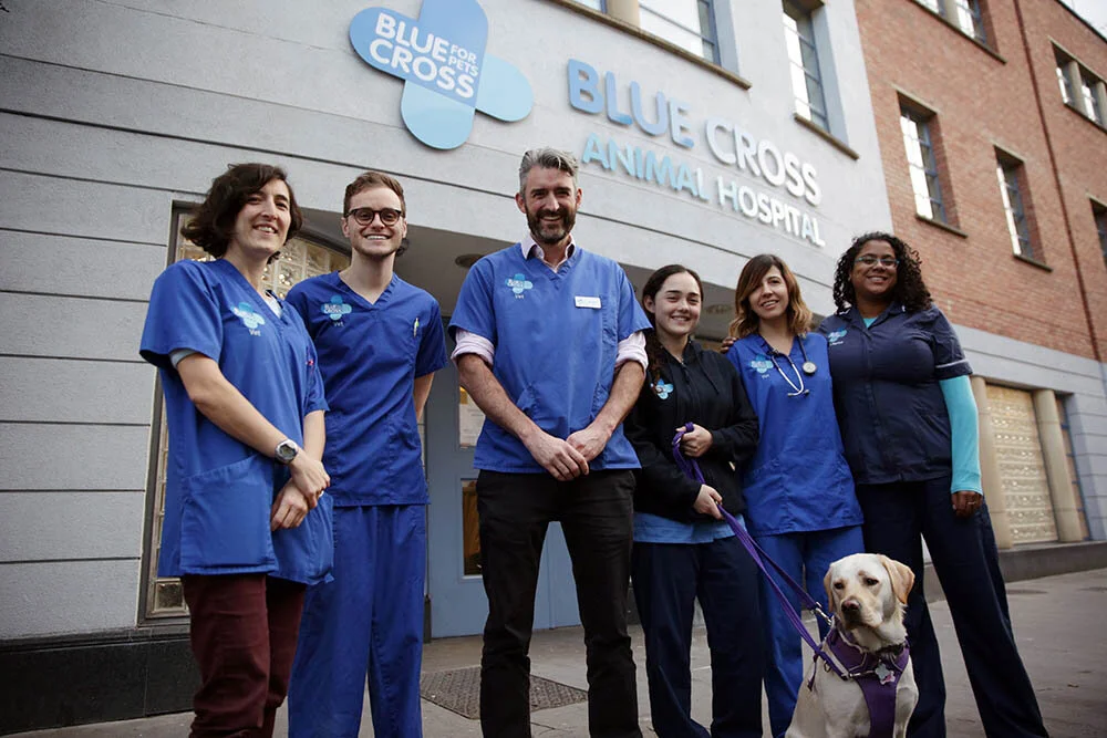 Inside Animal A&E