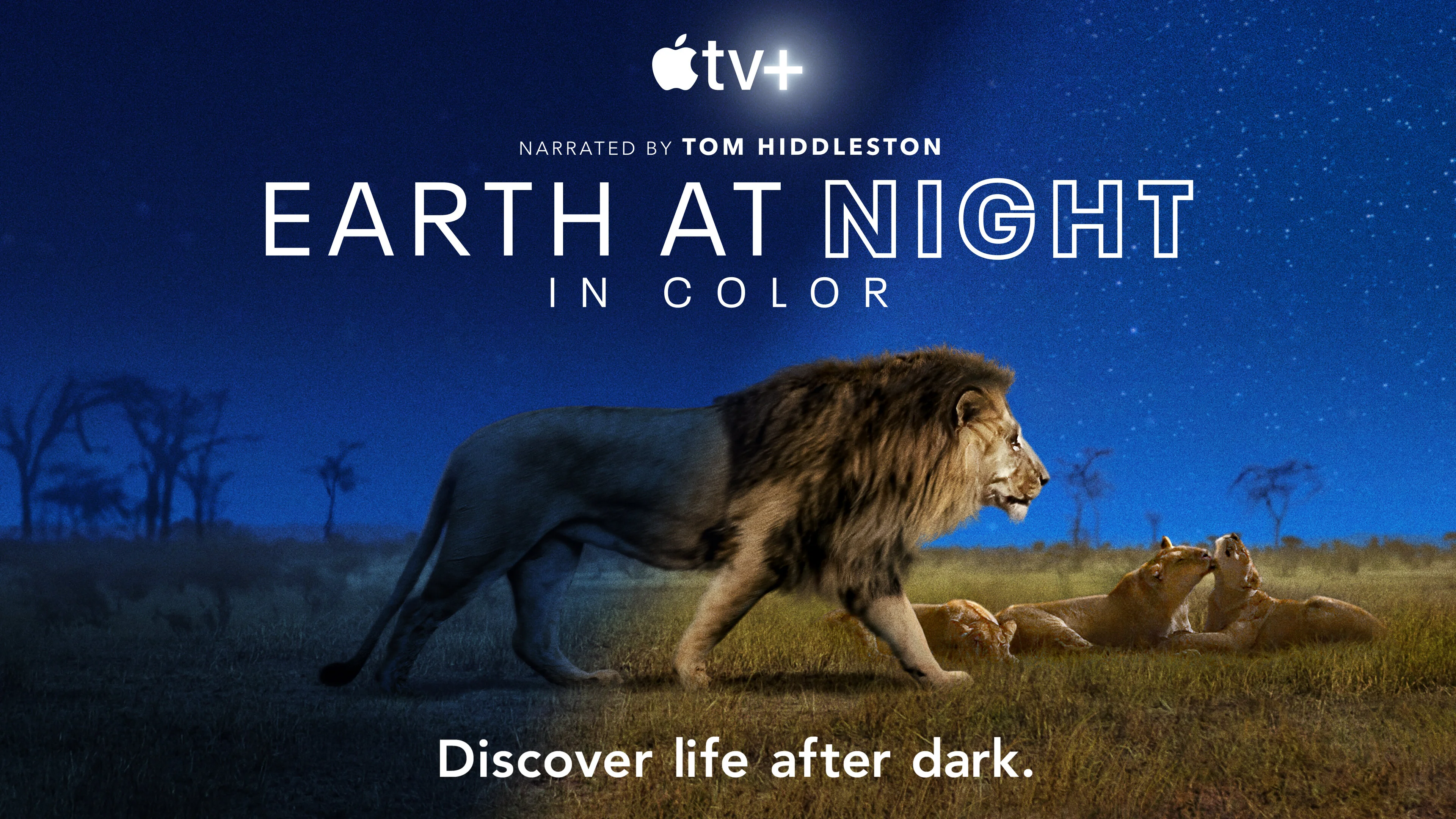 Earth at Night in Color