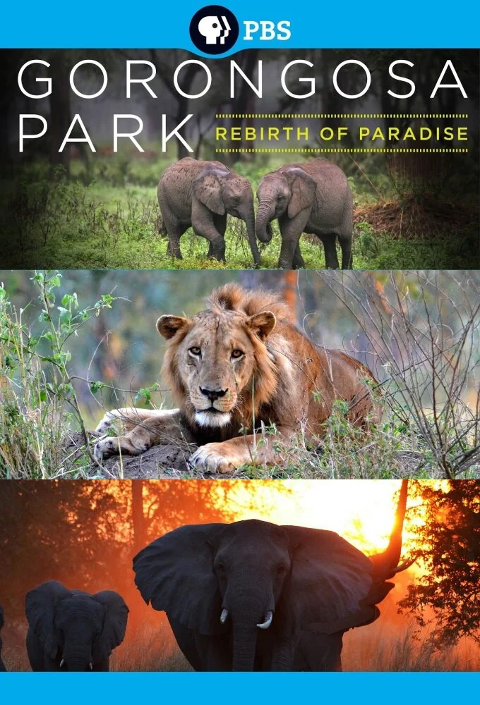 Affiche de Gorongosa : Le royaume oublié