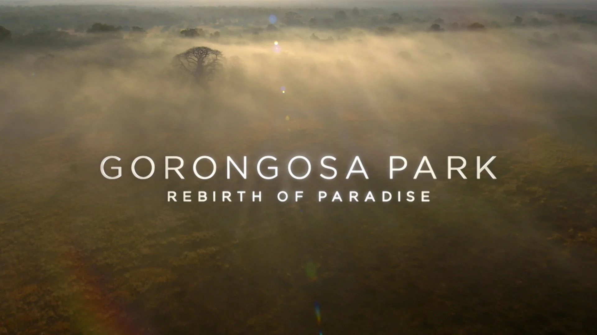 Gorongosa : Le royaume oublié