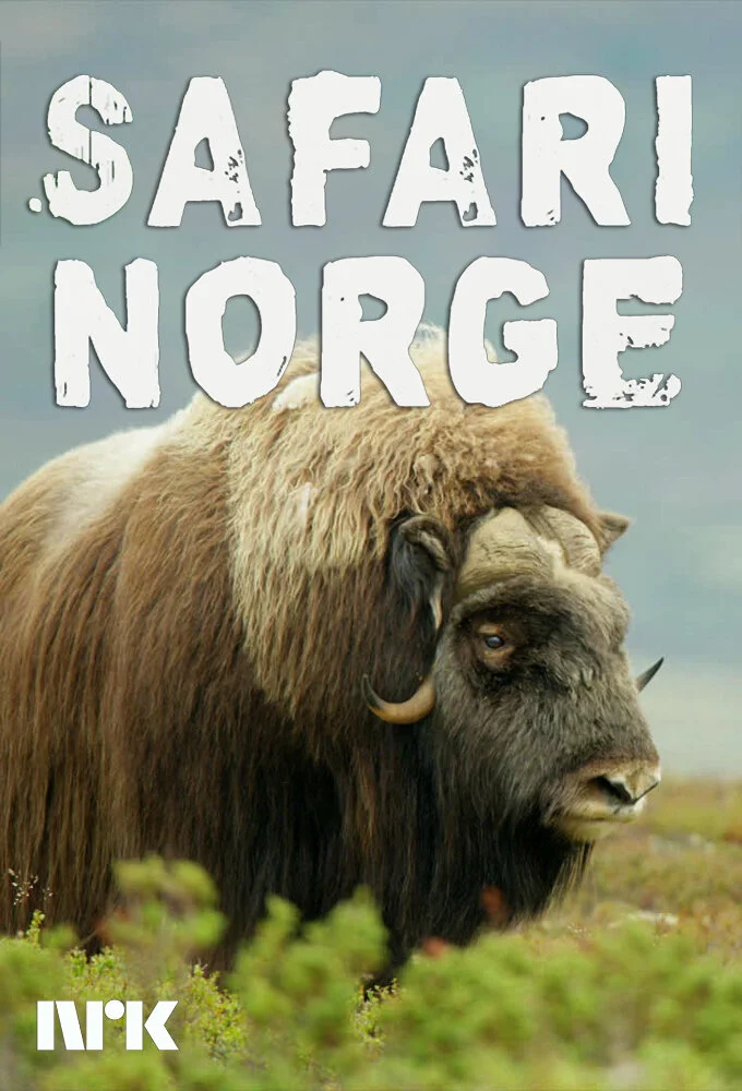 Póster de Safari Norge
