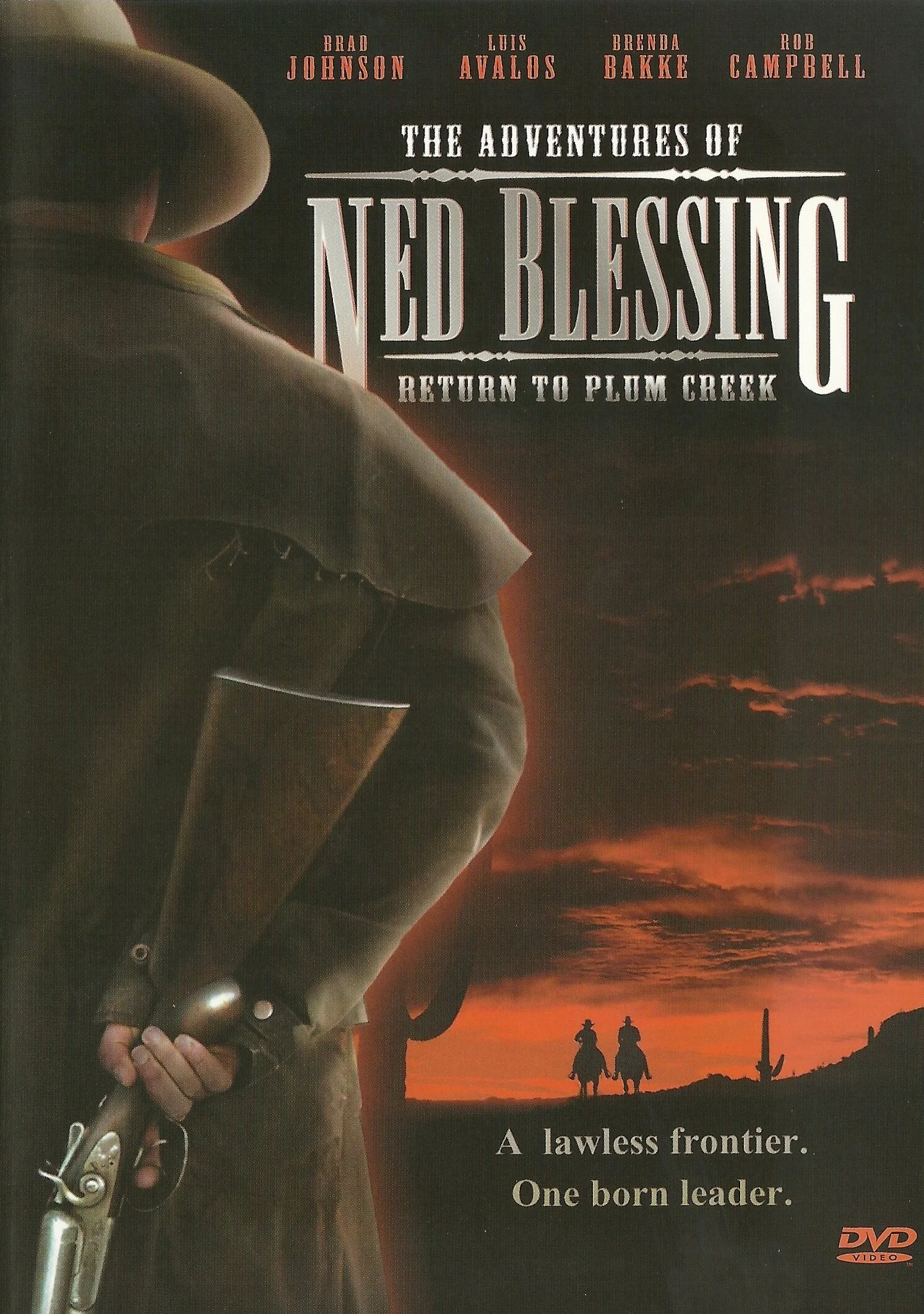 Ned Blessing: The Story of My Life and Times poster