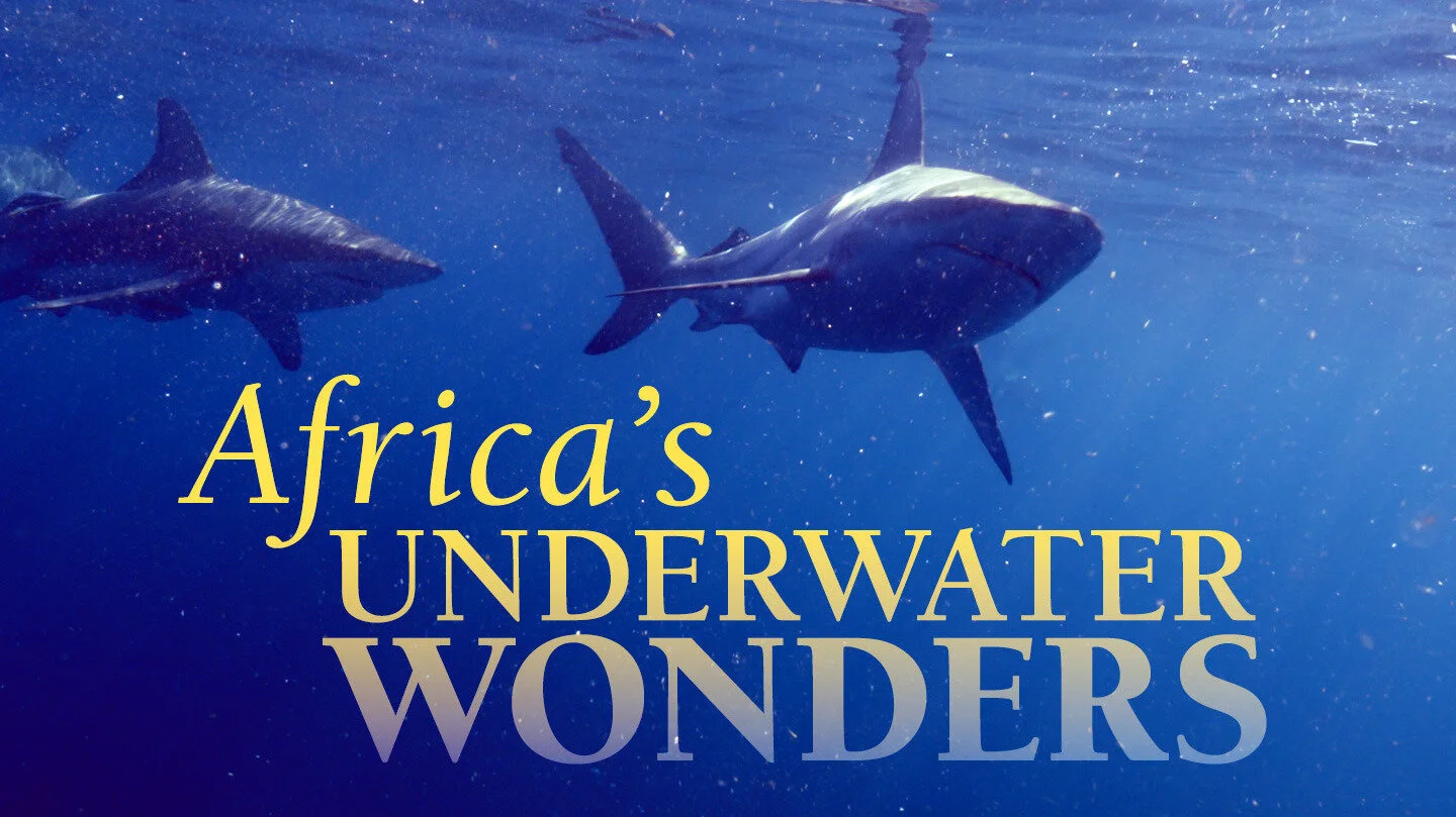 Maravillas Submarinas de Africa