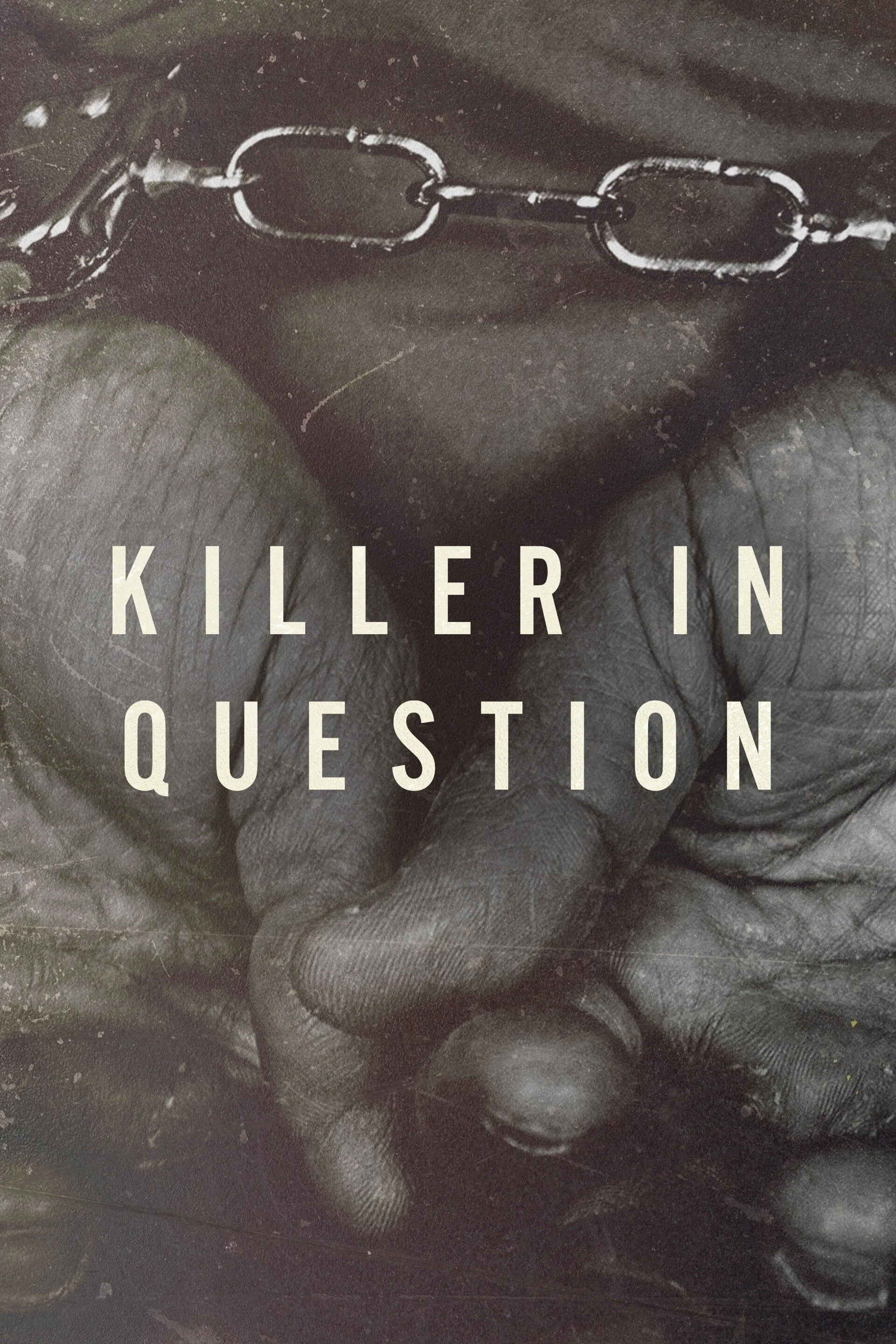Affiche de Killer in Question