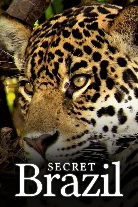 Poster di Secret Brazil