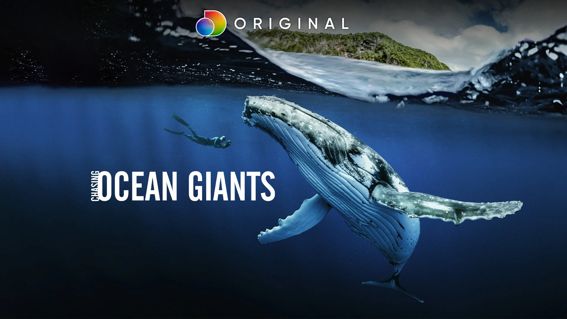 Chasing Ocean Giants