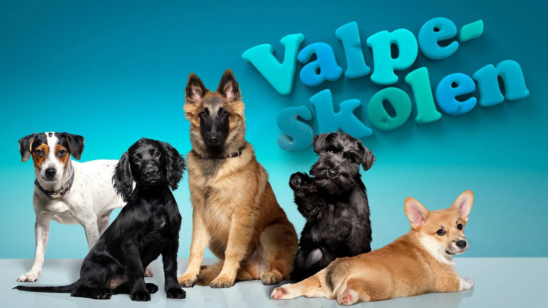 Valpeskolen
