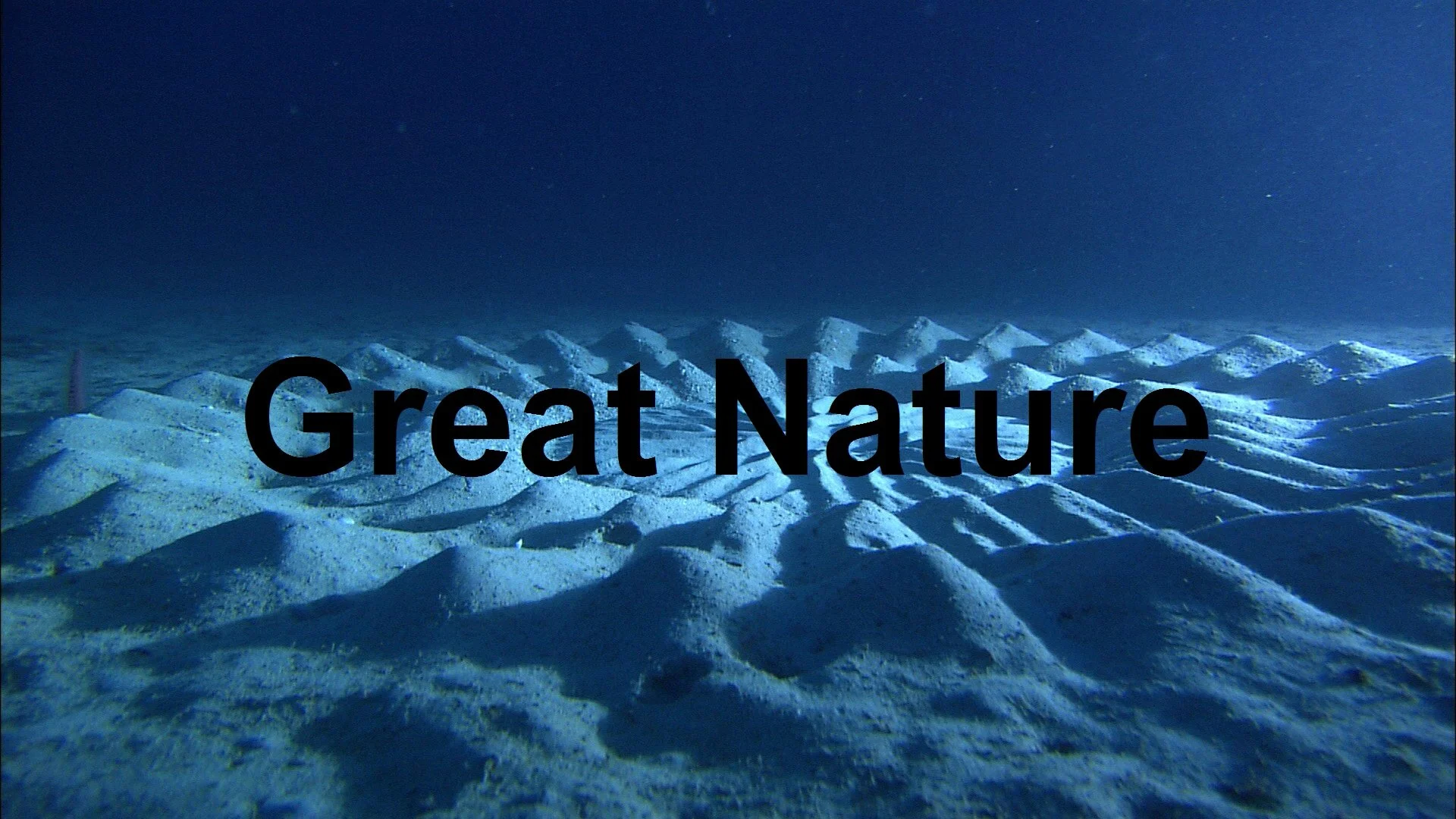 Great Nature