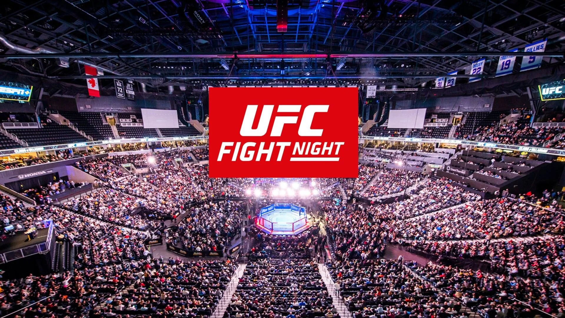 UFC Fight Night