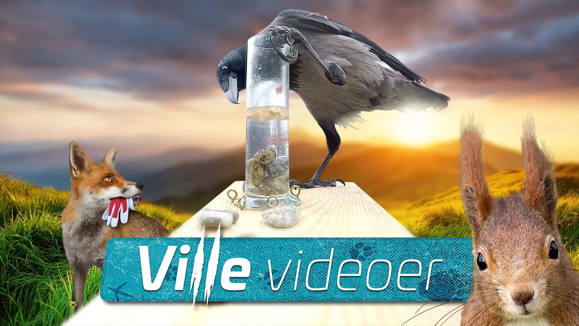 Ville videoer