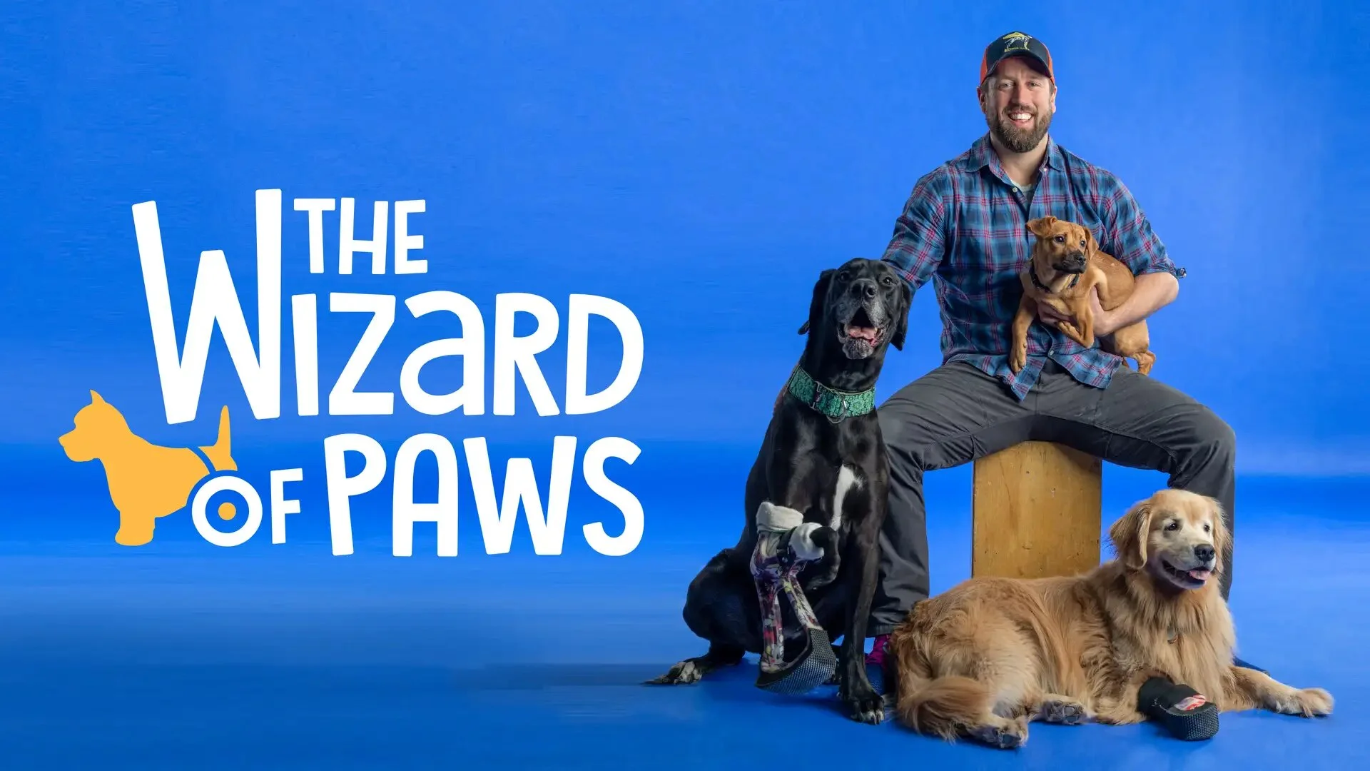 The Wizard of Paws