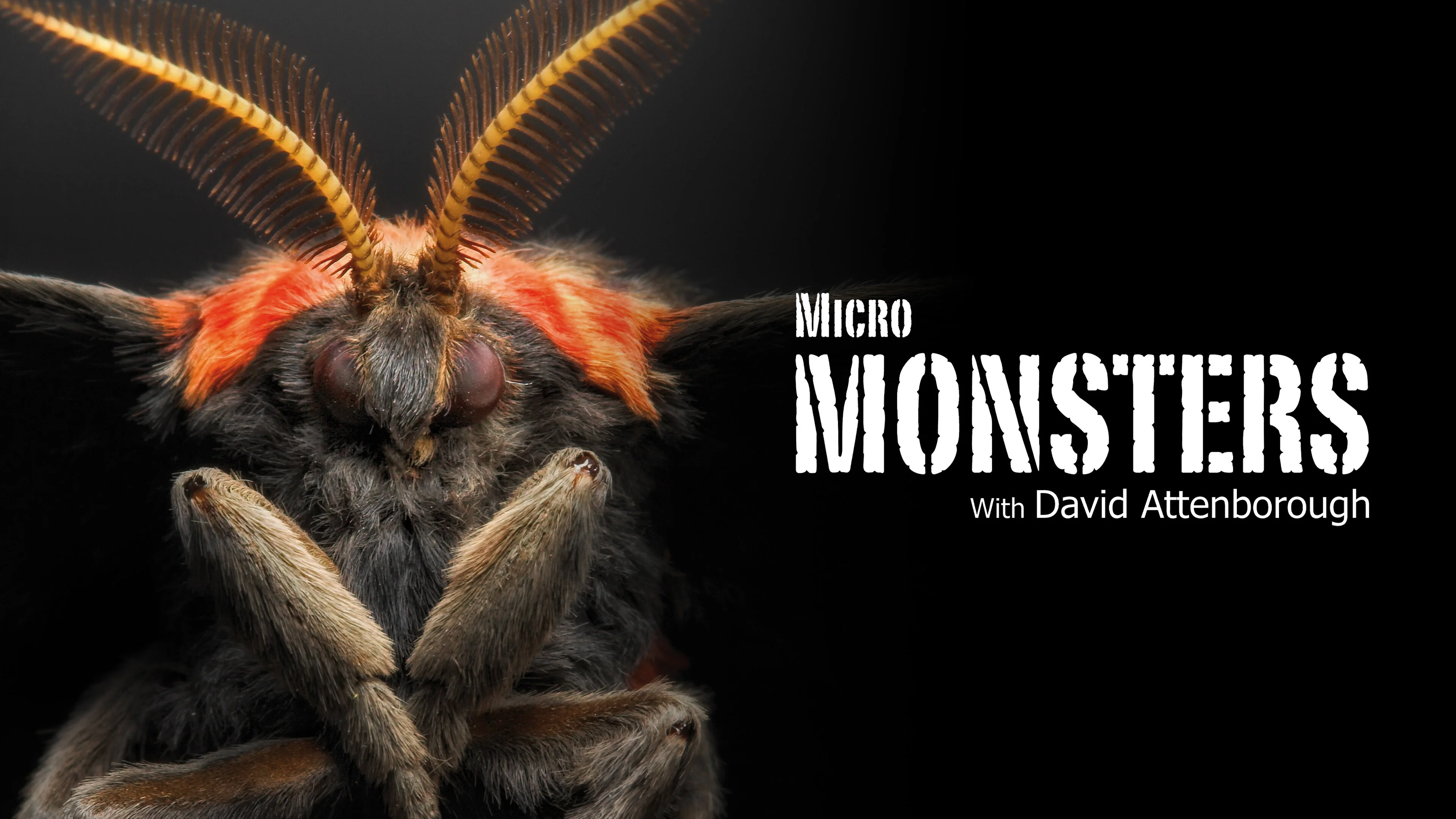 Micro Monsters con David Attenborough