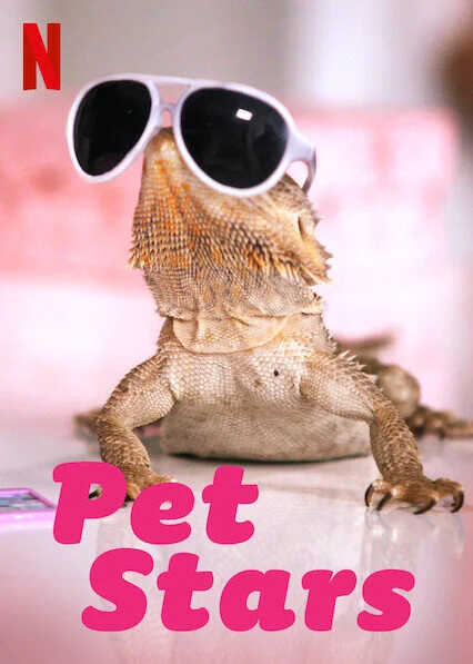 Pôster de Pet Stars