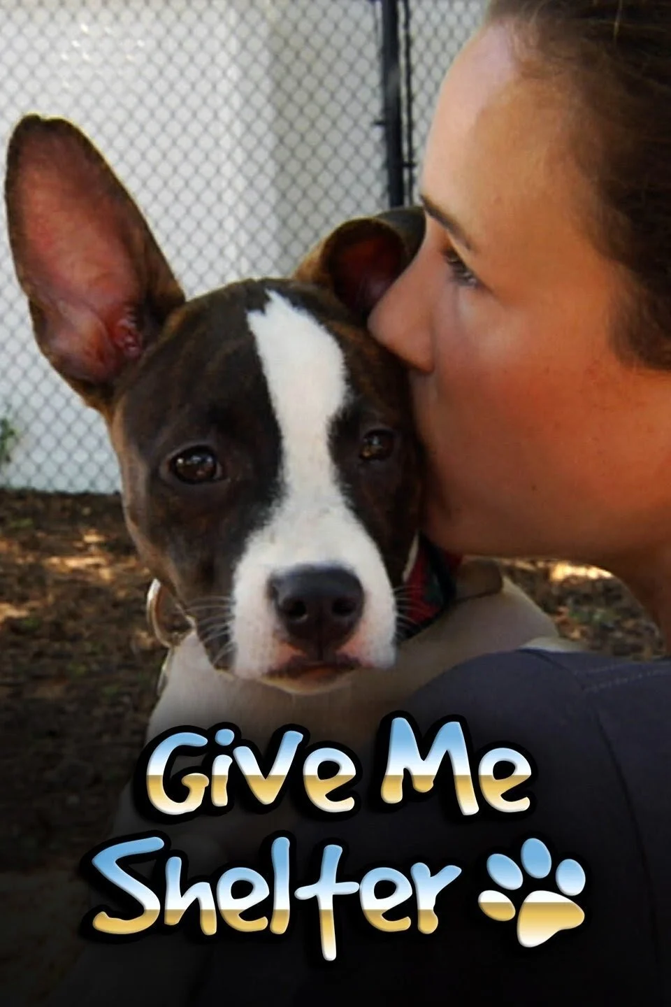 Póster de Give Me Shelter
