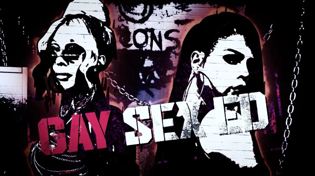 Gay Sex Ed