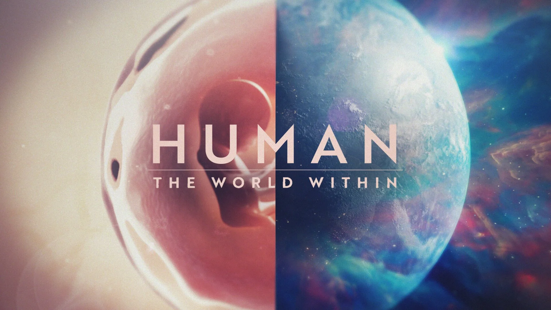 Dentro del cuerpo humano