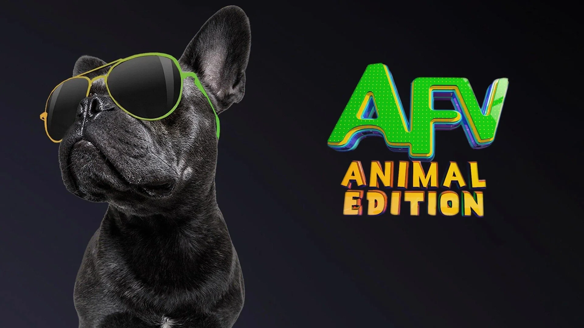 America's Funniest Home Videos: Animal Edition