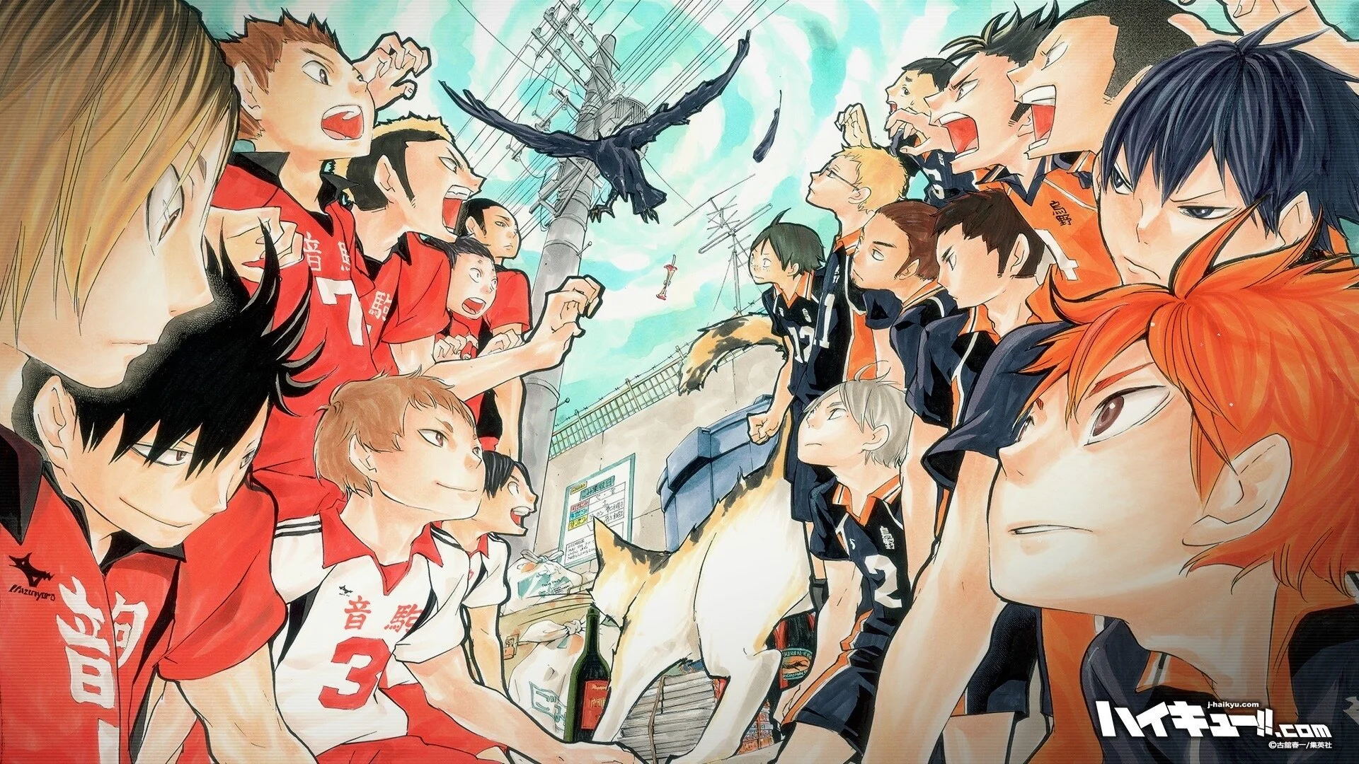 Haikyu!! - L'asso del volley