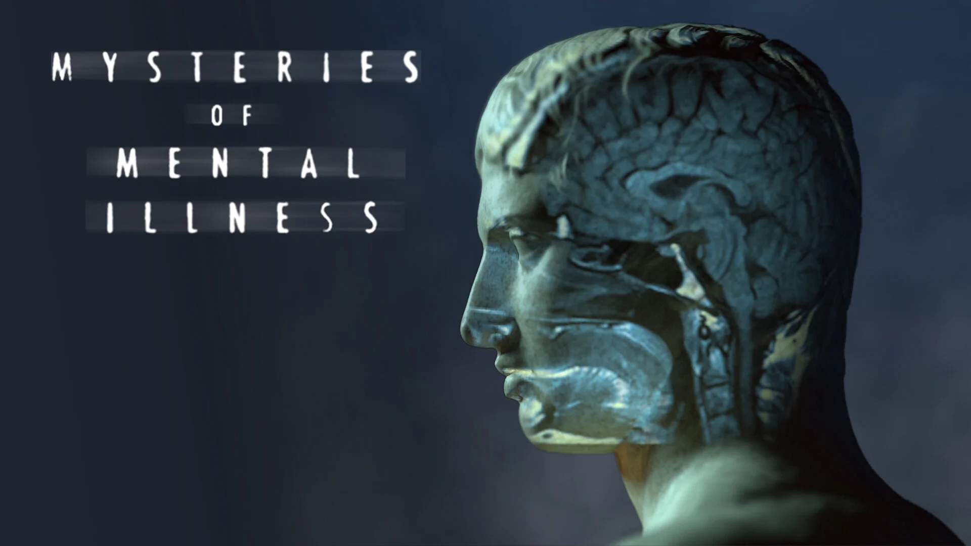 Mysteries of Mental Illness