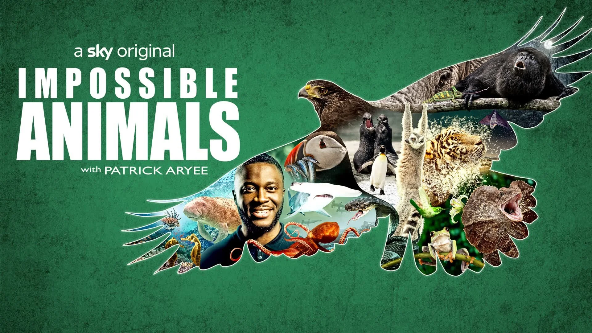 Impossible Animals