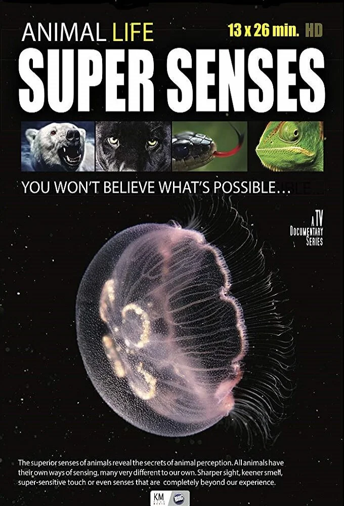 Animal Super Senses