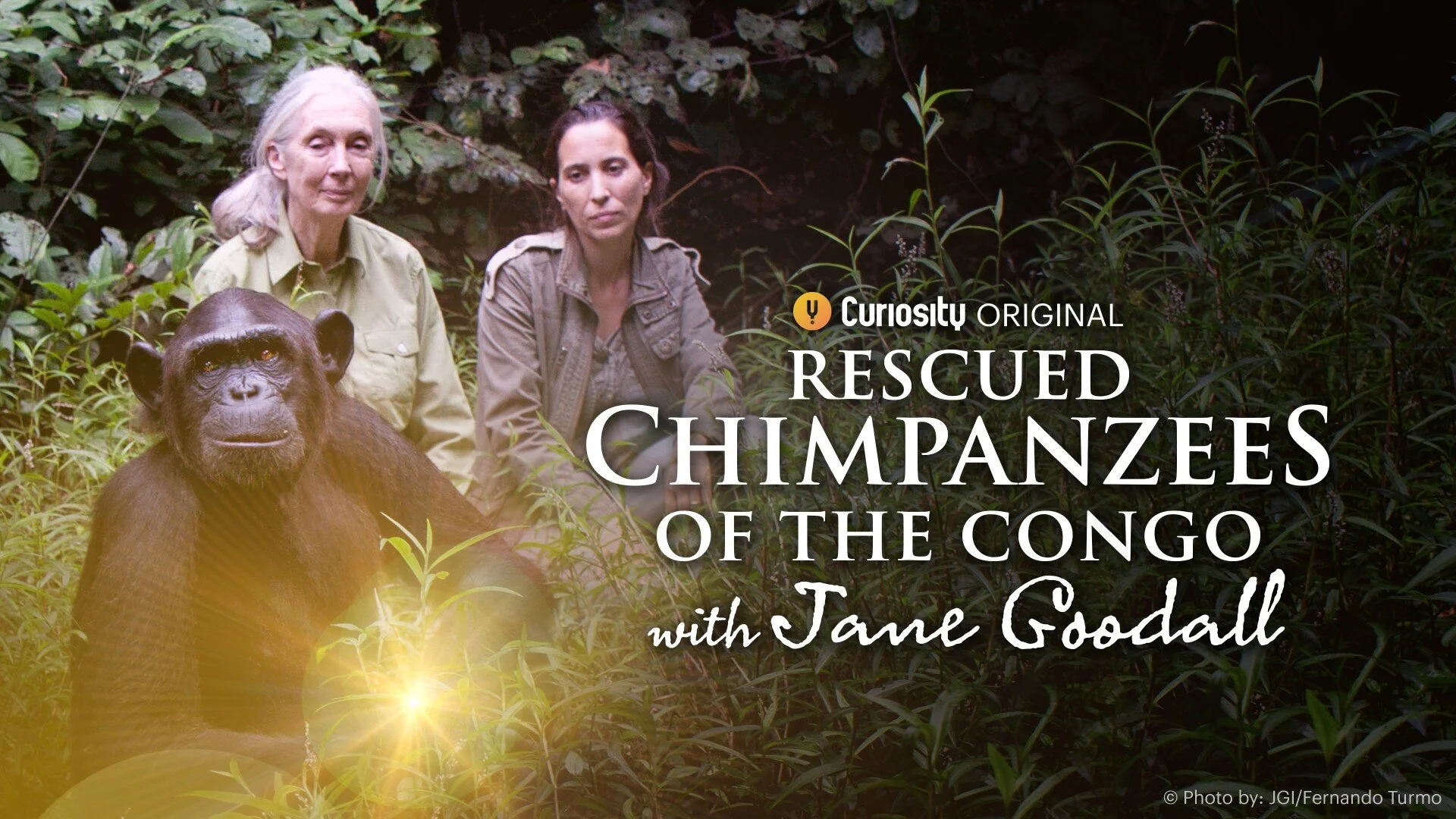 Rescued Chimpanzees of the Congo with Jane Goodall