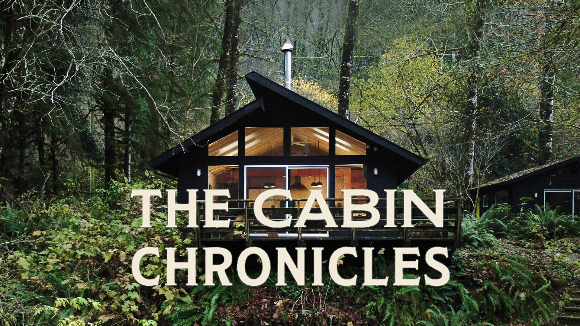 The Cabin Chronicles