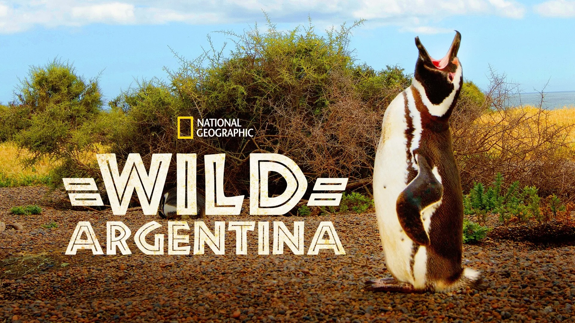 Destination Wild : Argentine