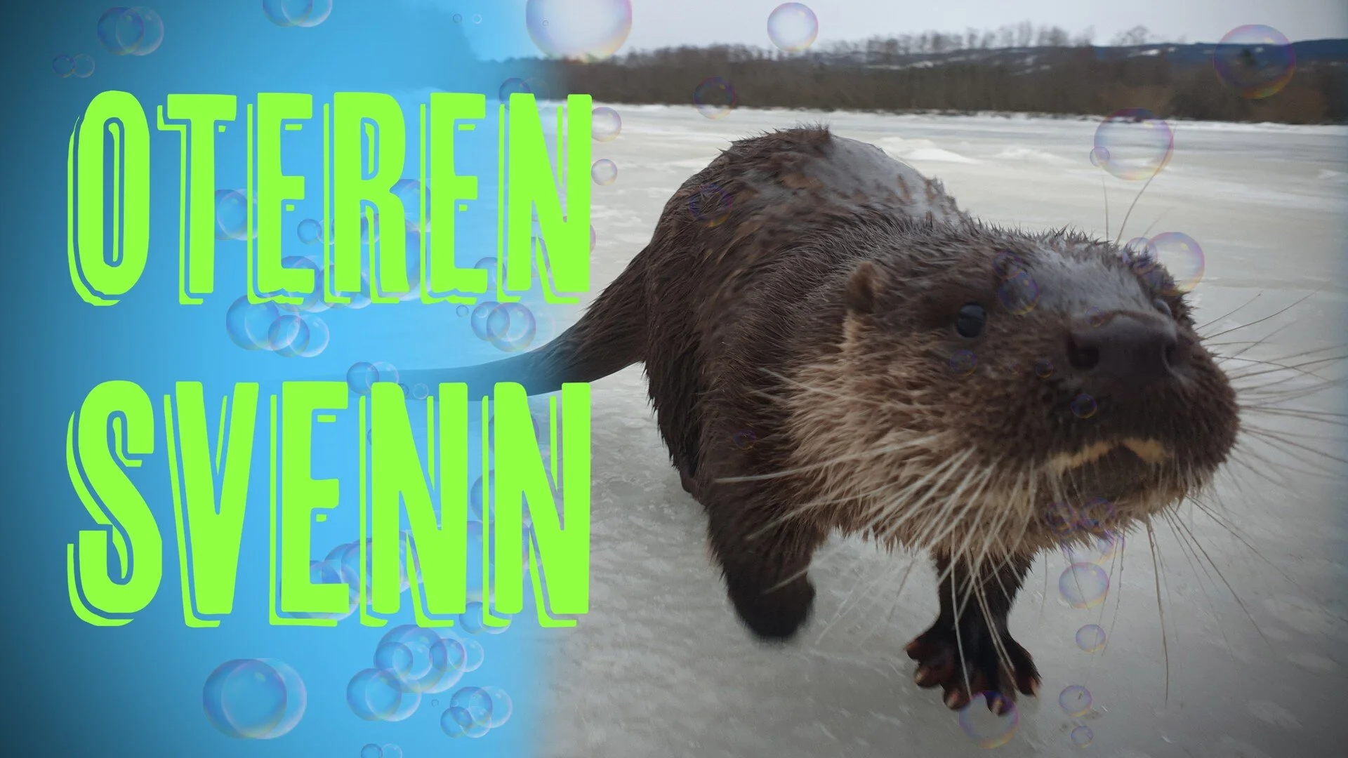 Oteren Svenn