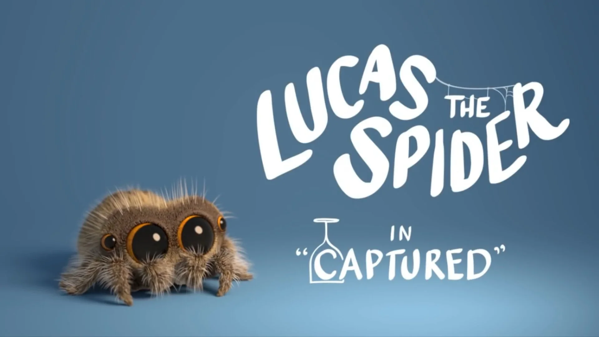 Lucas the Spider