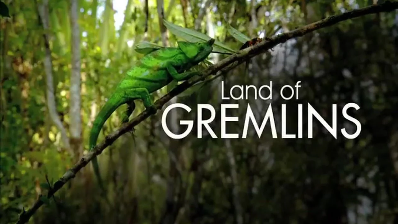 Land of Gremlins
