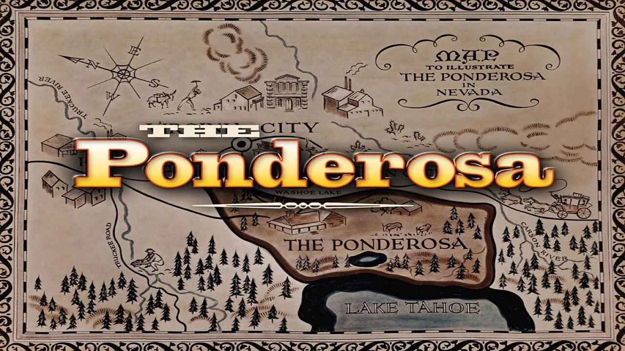 Galería 1
