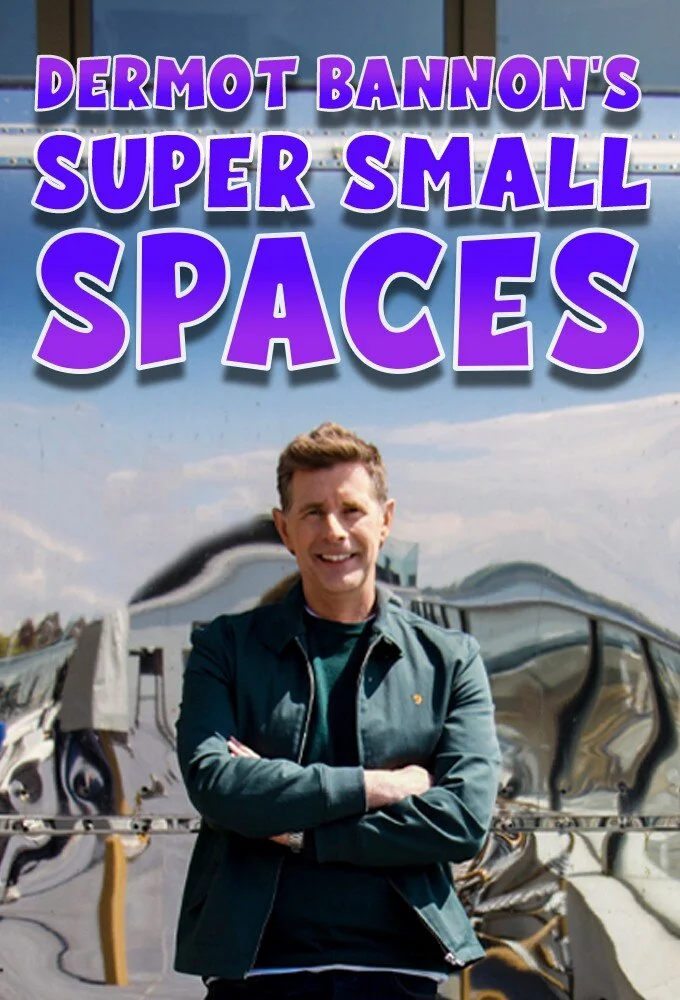 Dermot Bannon's Super Small Spaces poster