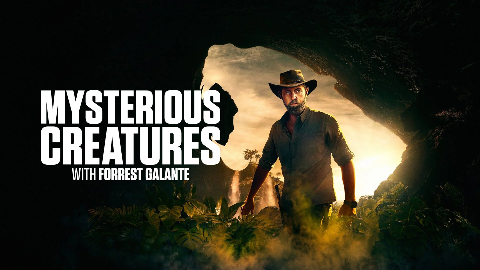 Mysterious Creatures