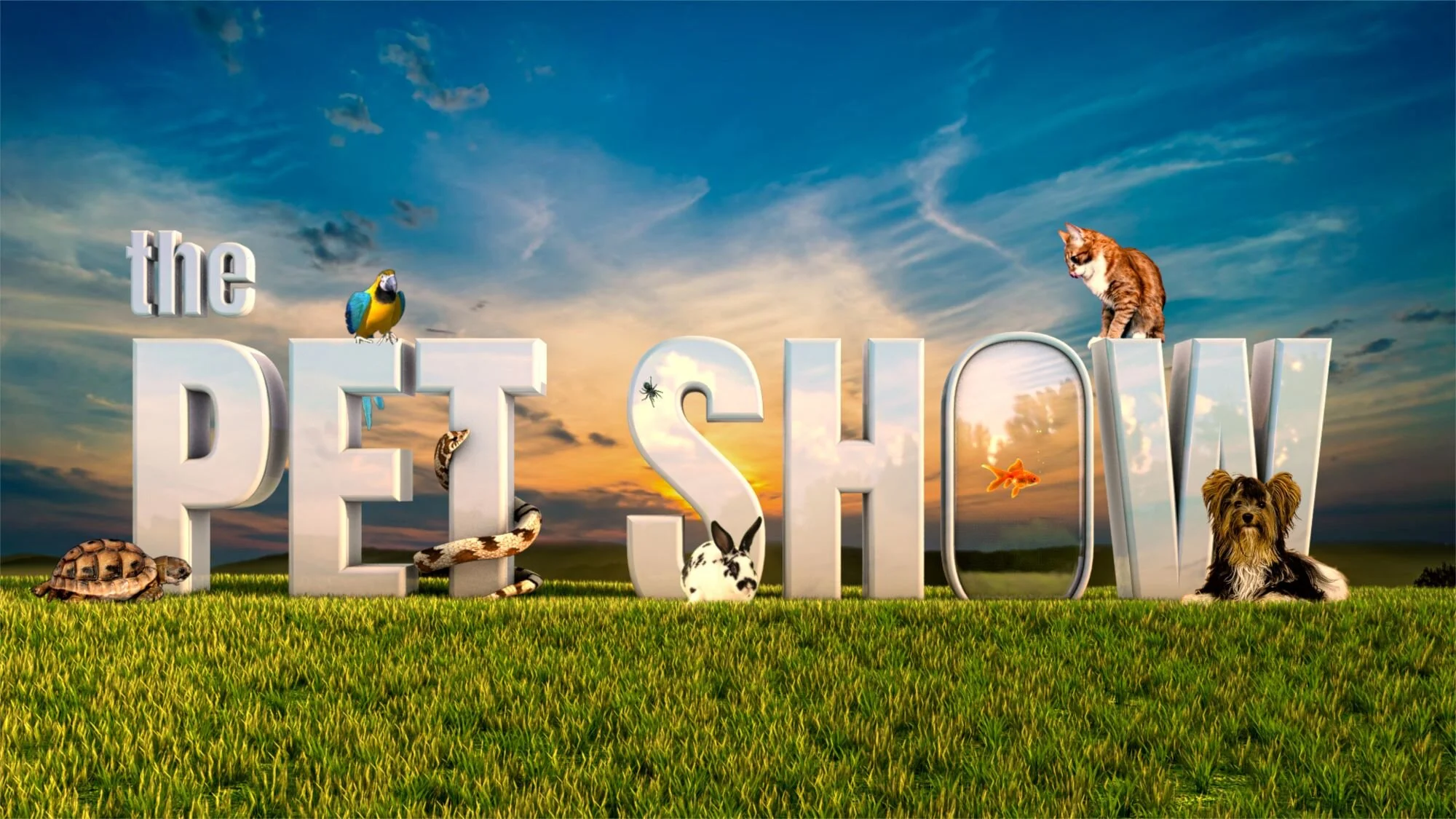 The Pet Show