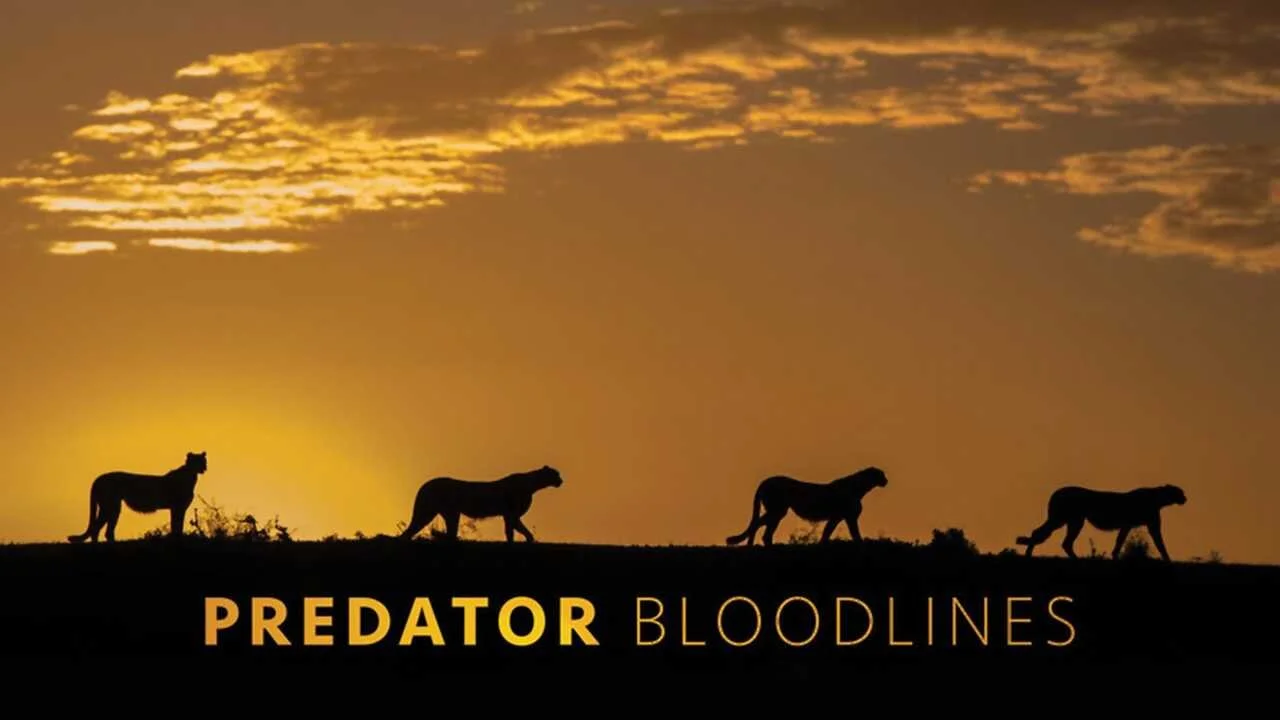 Predator Bloodlines