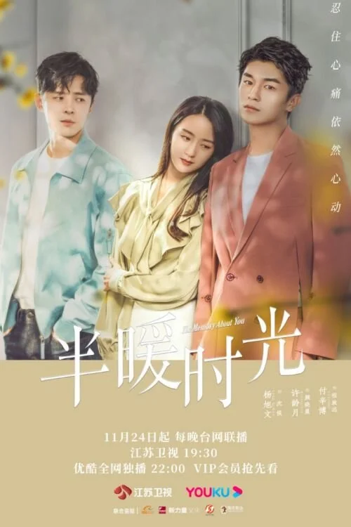 The Memory About You poster