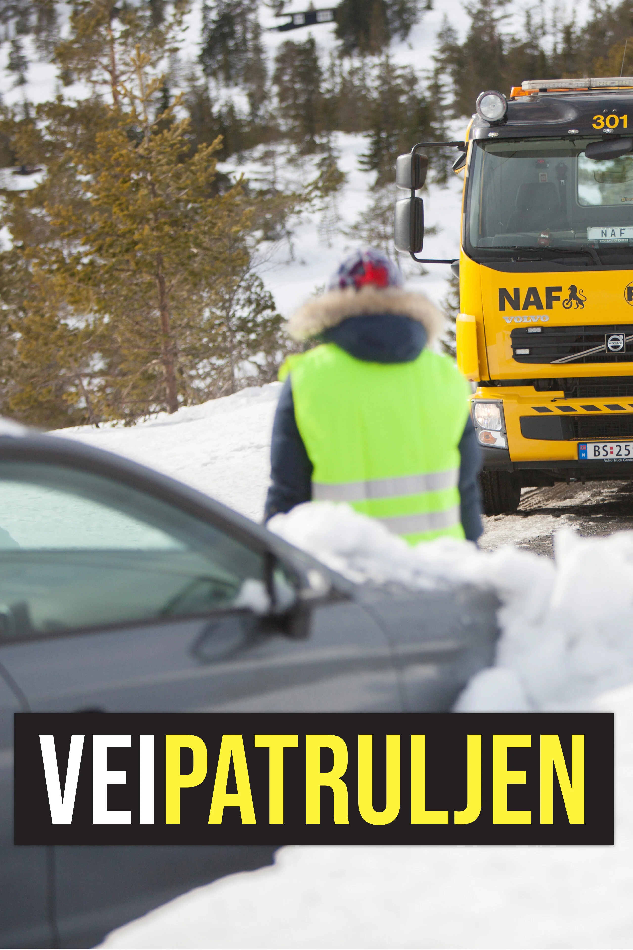 Veipatruljen poster