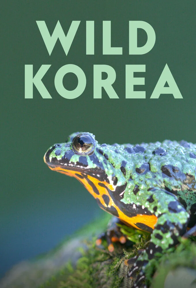 Wild Korea poster