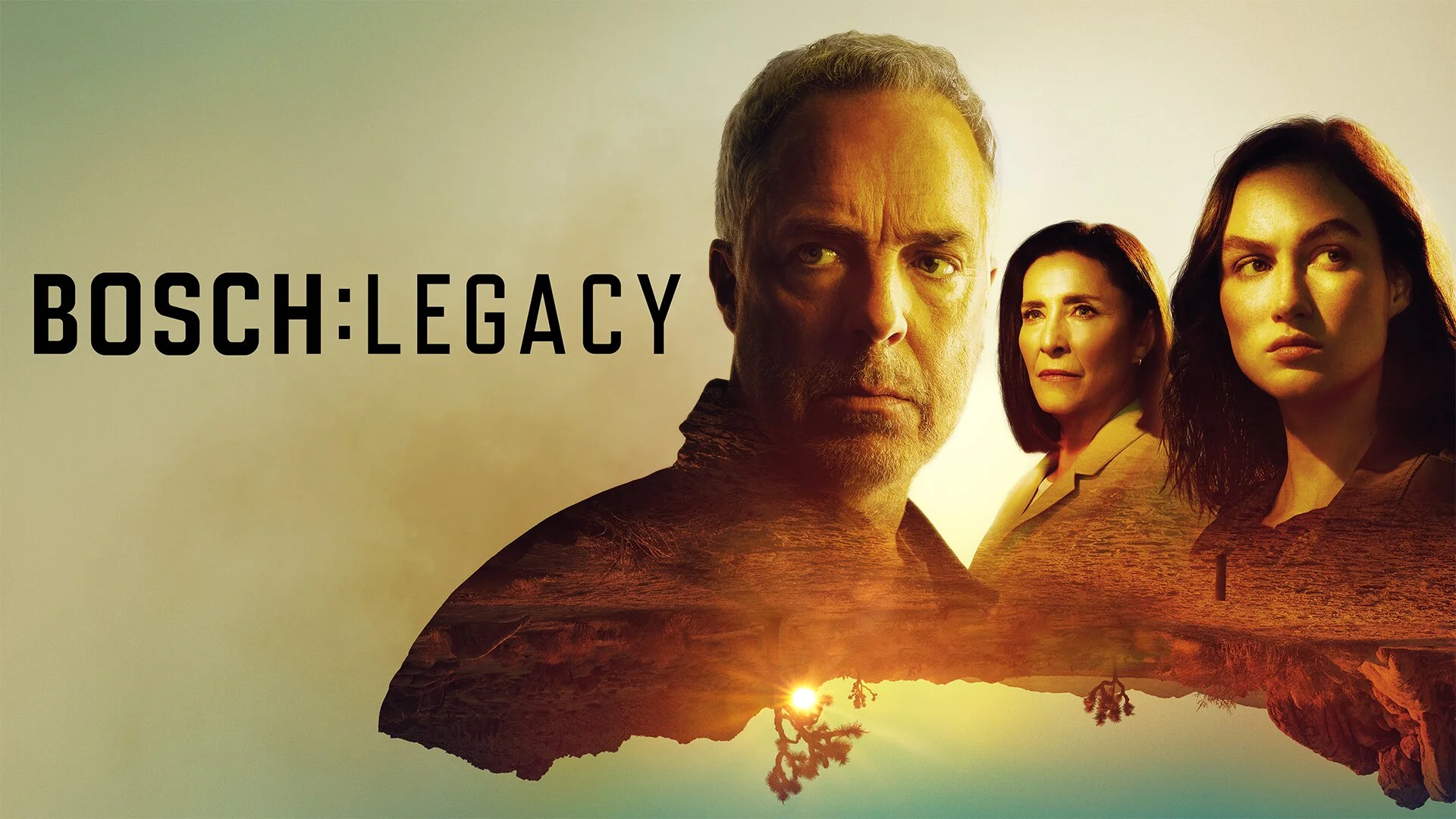 Bosch : Legacy