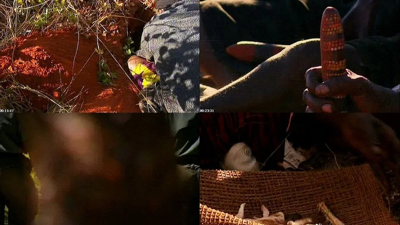 Ray Mears' Wild Food