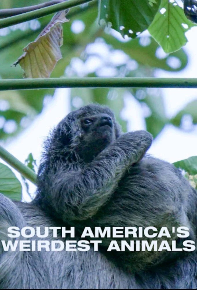 South Americas Weirdest Animals poster