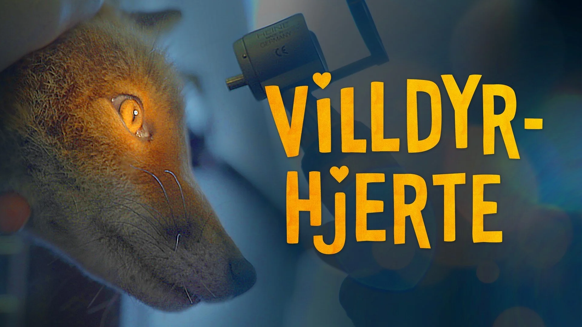 Villdyrhjerte