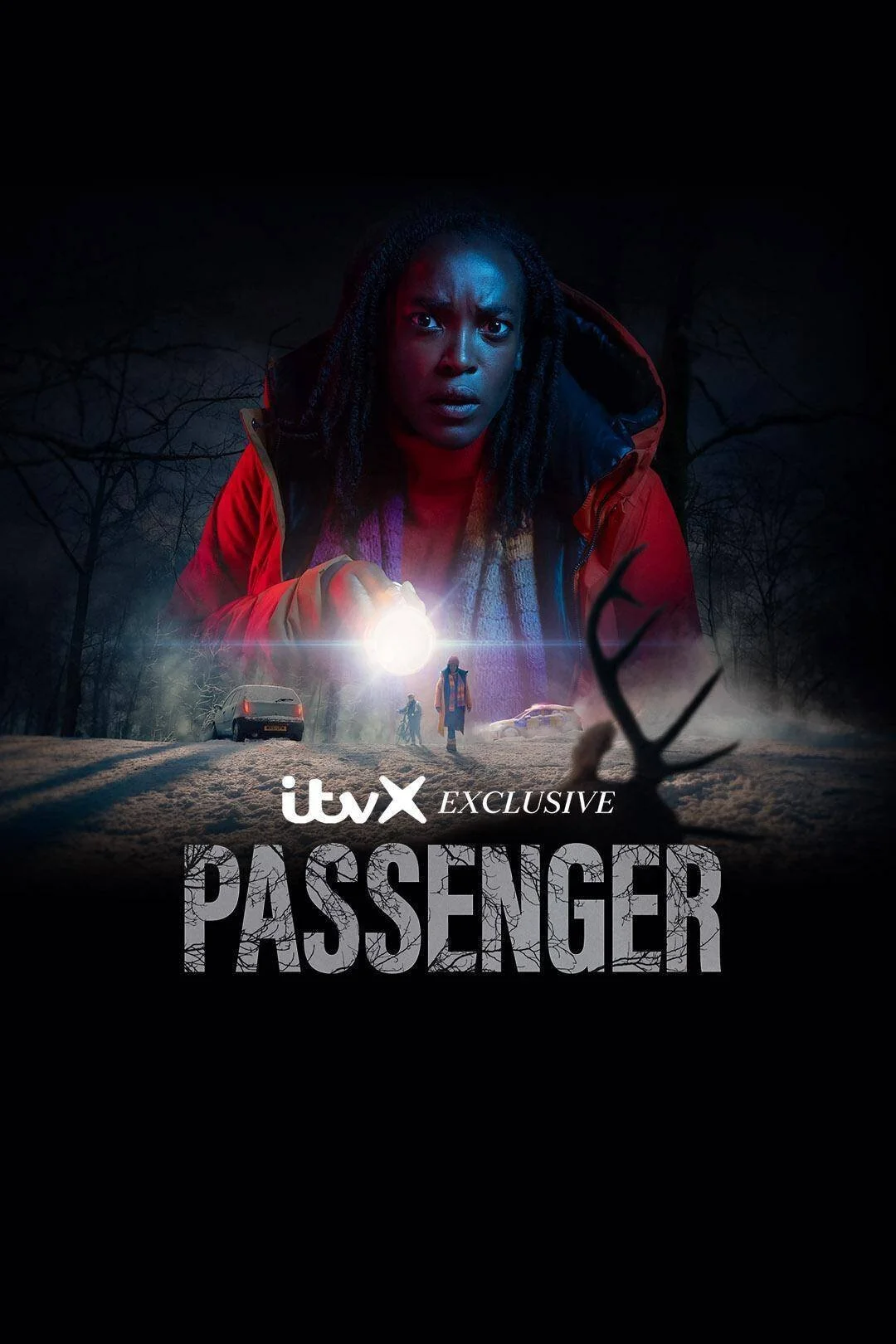 Poster di Passenger