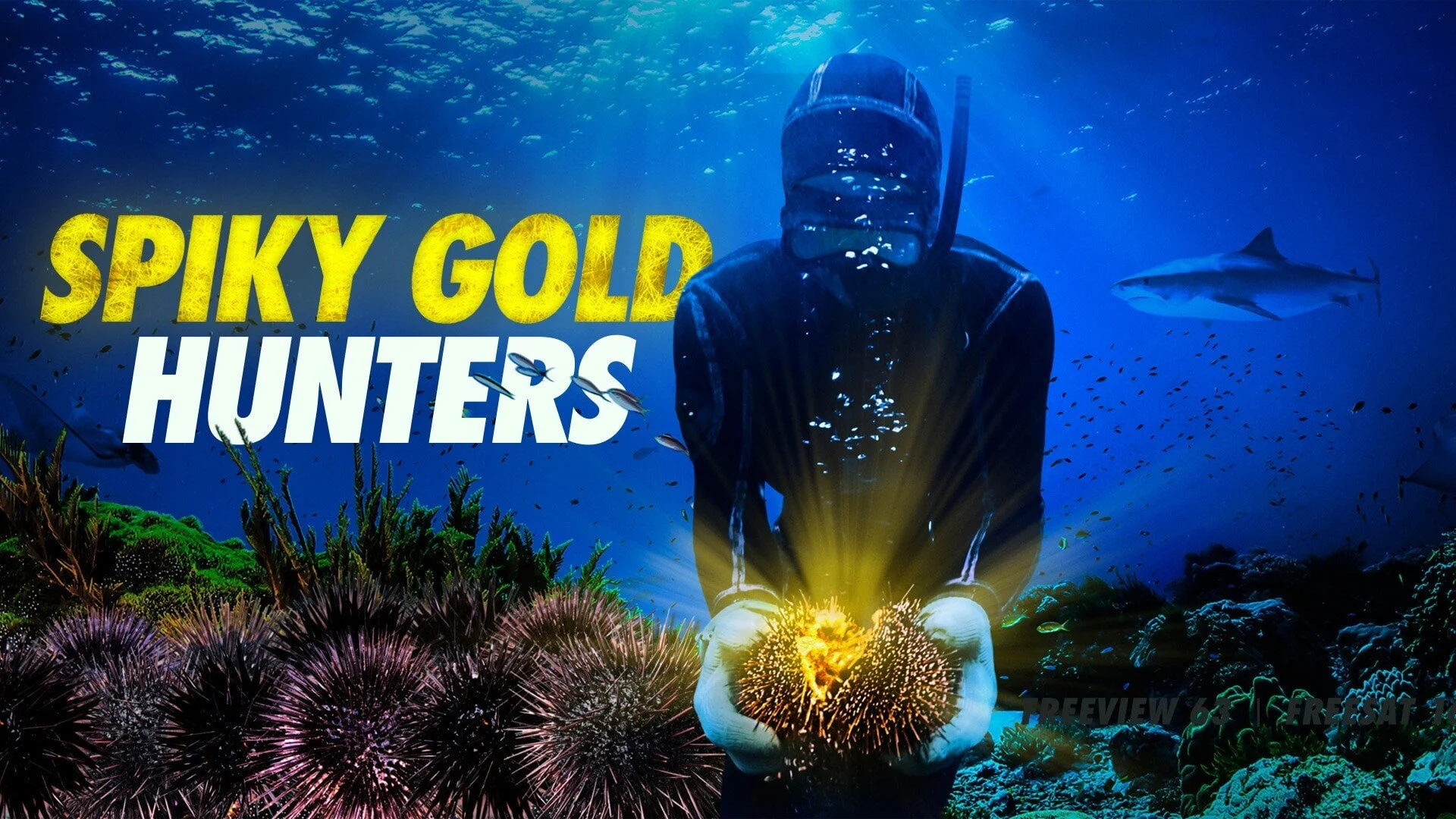 Spiky Gold Hunters