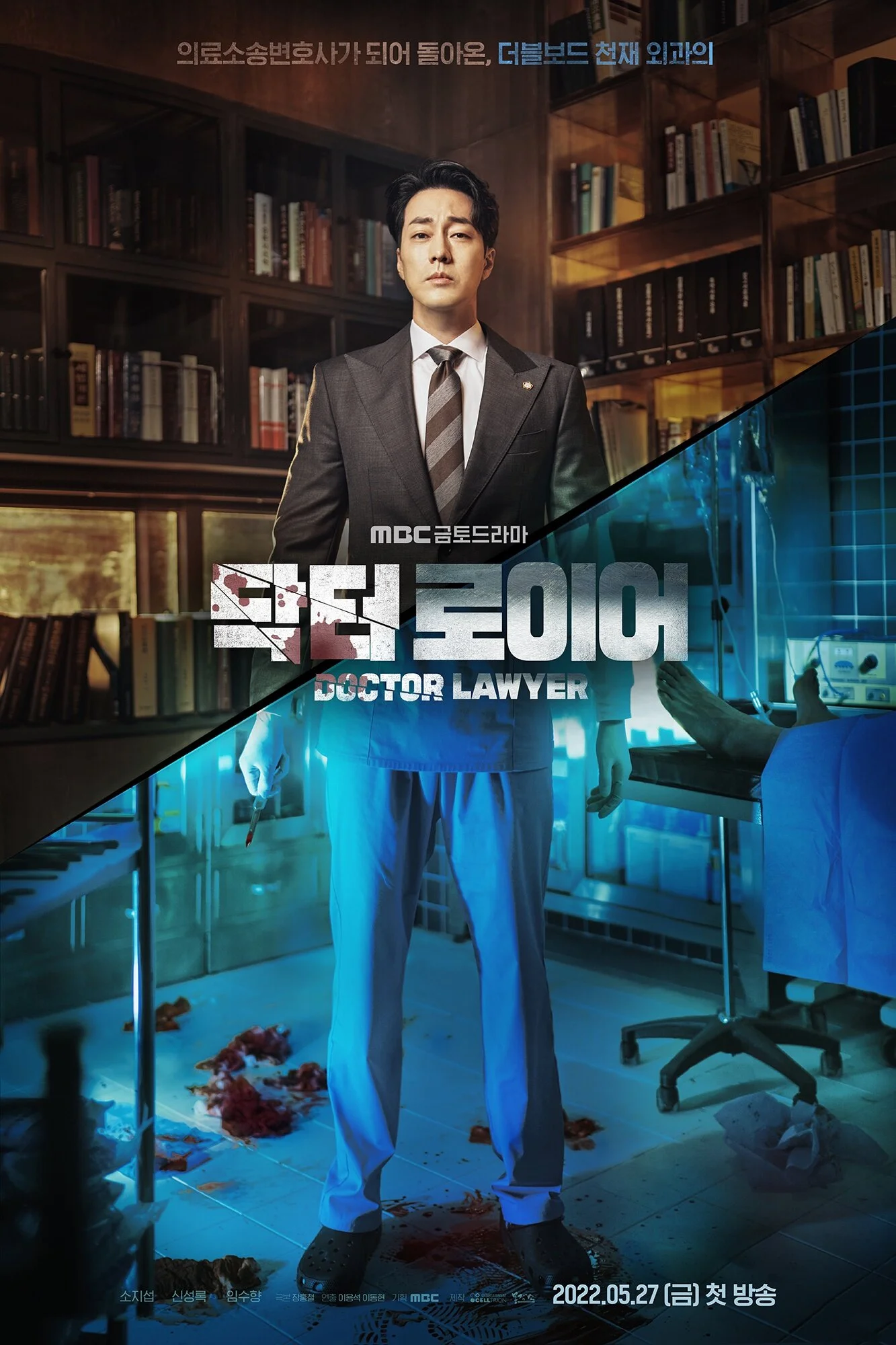 Affiche de Doctor Lawyer