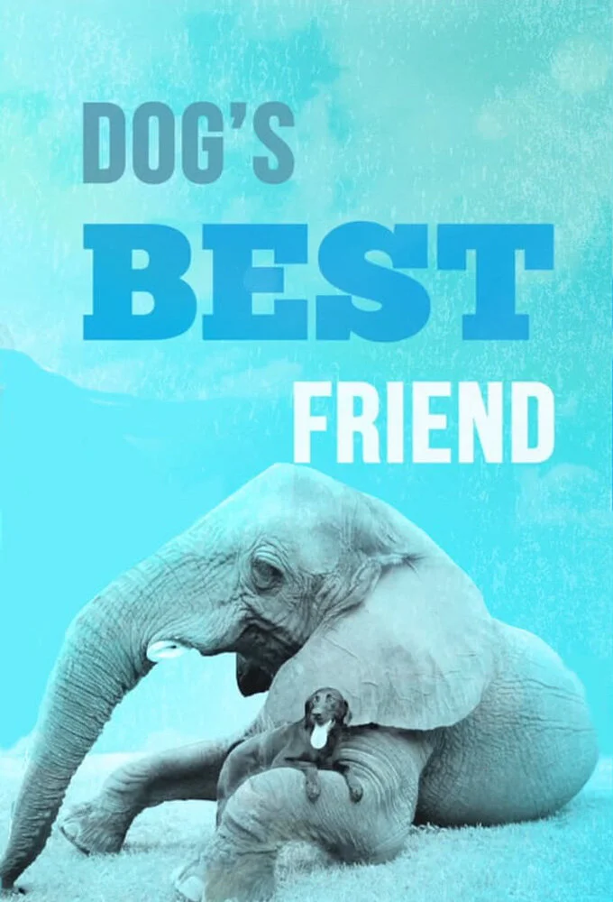 Dog's Best Friend poster