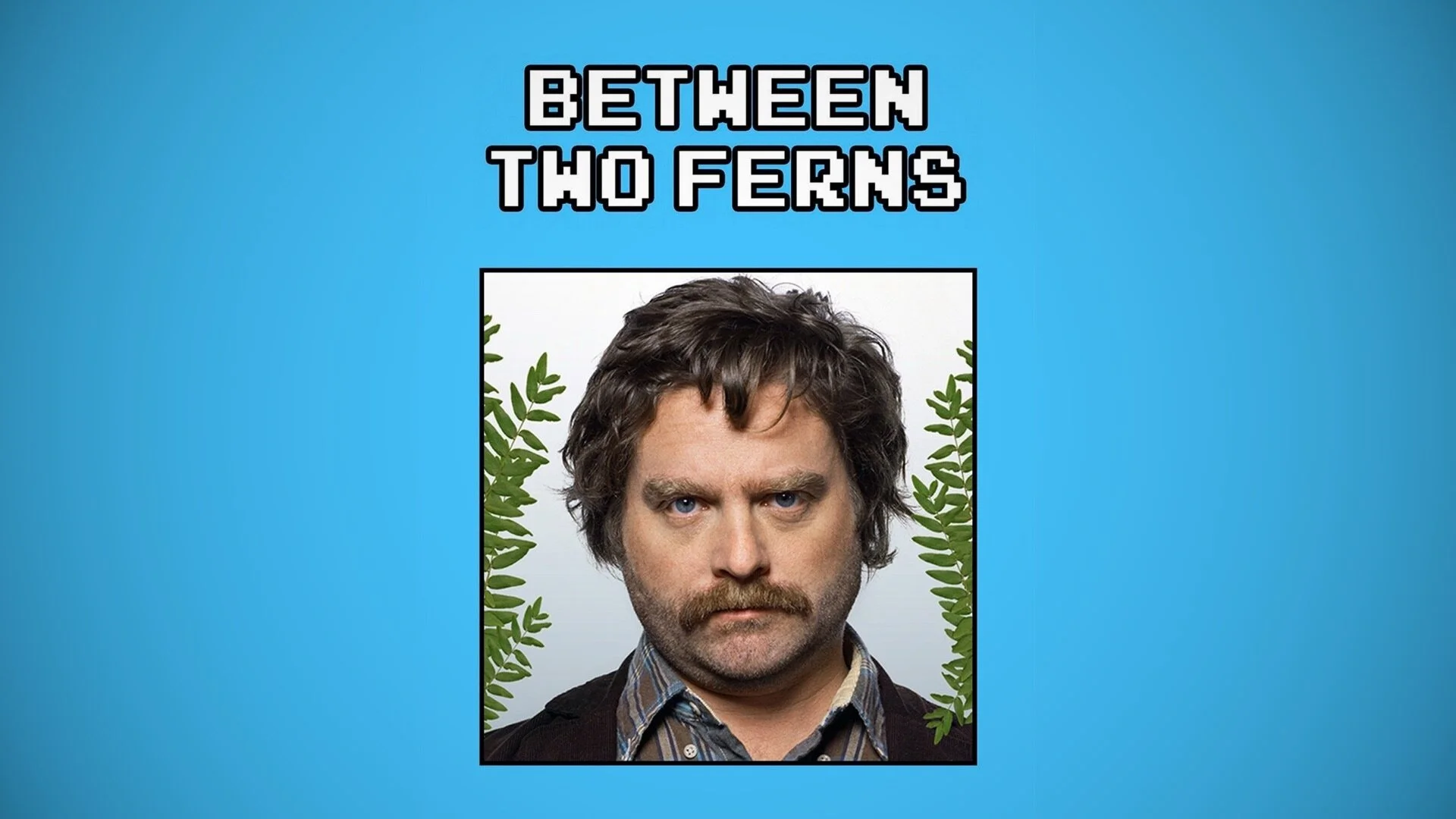 Between Two Ferns with Zach Galifianakis